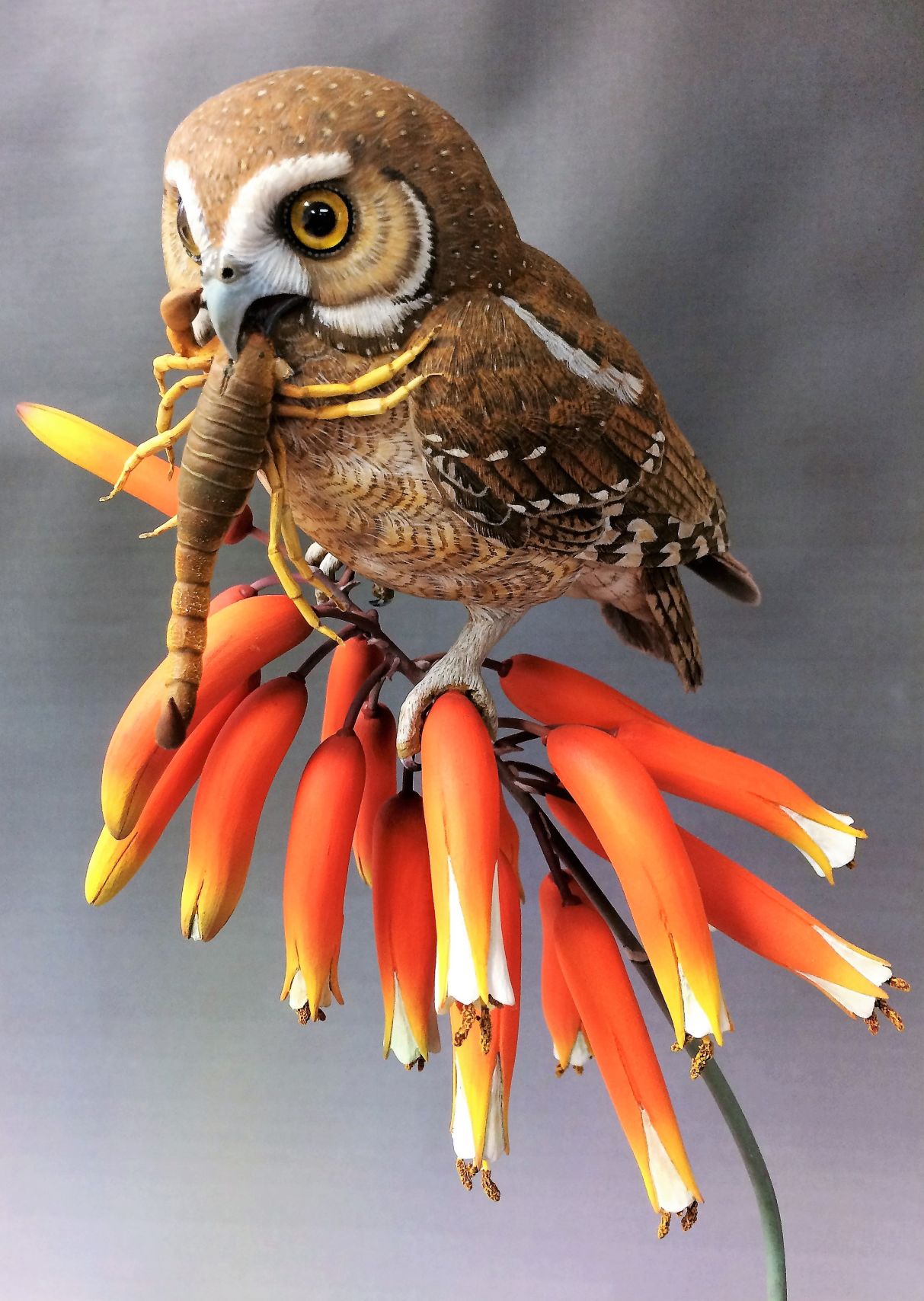 m15 art story Elf owl with sand scorpion by Al Jordan.JPG